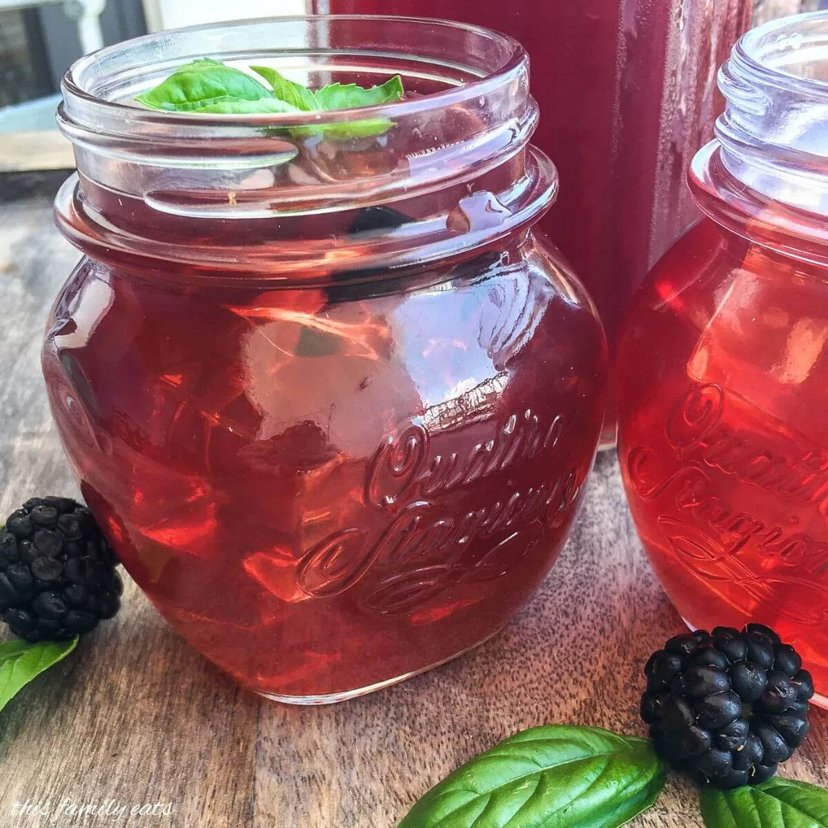 Instant Pot Blackberry Iced Tea