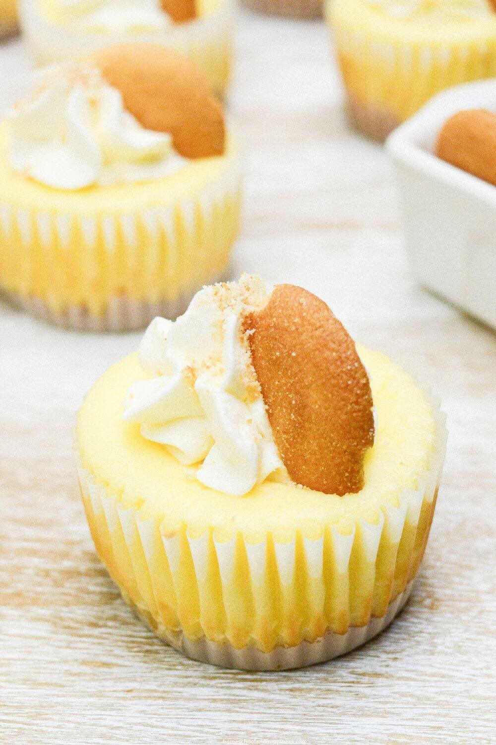 Mini Banana Cheesecakes