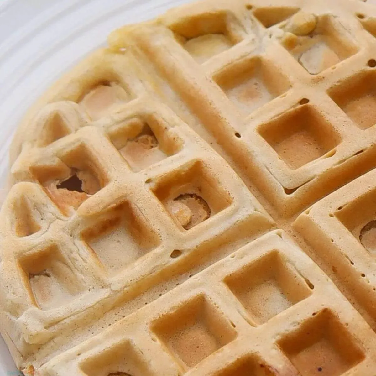 Easy Homemade Waffles (with Almond Milk)