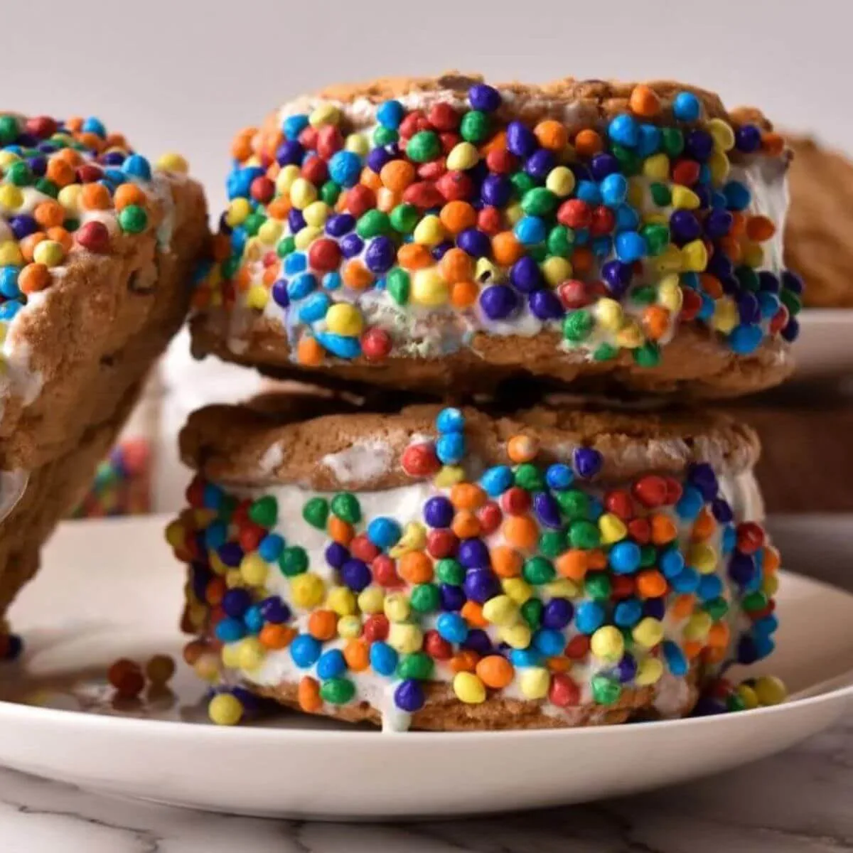 Chocolate Chip Ice Cream Sandwiches
