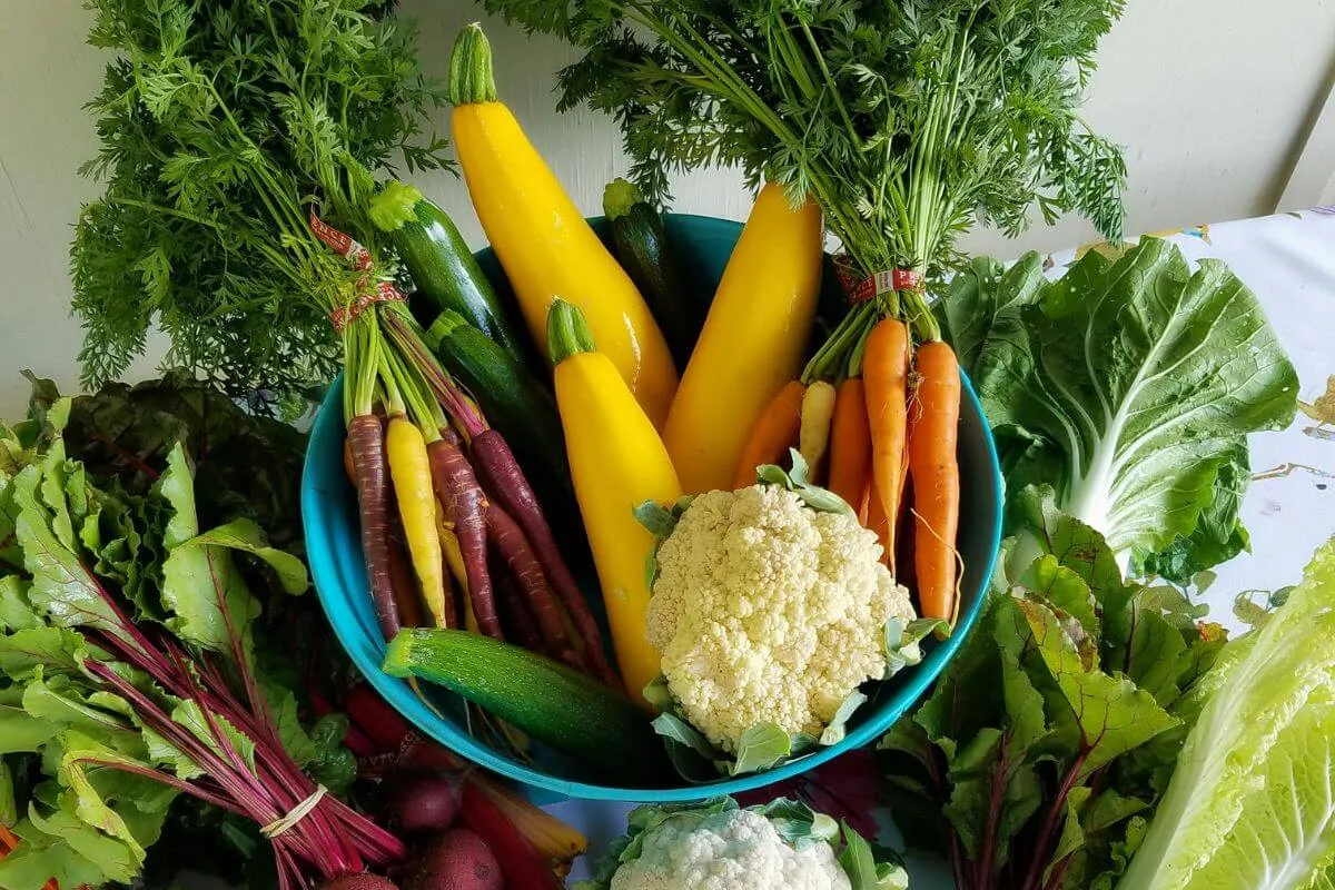 vegetables to grow in july