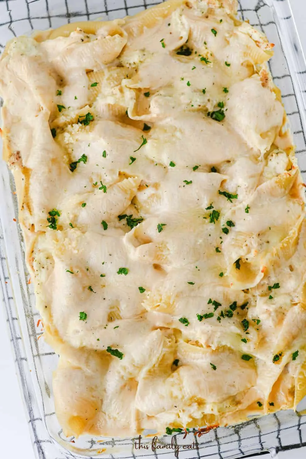 Easy alfredo stuffed shells in a casserole pan after being baked.